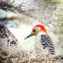 오아시스여관 이미지