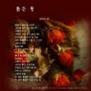 와우매직