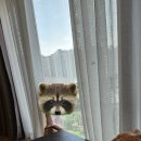 CU서판교점 | 판교 더블트리바이힐튼 레지던스 아기랑 호캉스 다녀온 후기 / 데메테르 조식, 아기용품