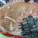 바다랑B펜션 이미지