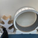 냥카페,루브 이미지