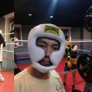 광정초등학교 이미지