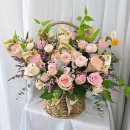 오들1길 | 남원 꽃집, 오늘의꽃에서 만끽하는 화사한 꽃의 세계 🌷✨