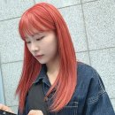 6605 | 강남역미용실, 나의 최애 헤어 고민 해결사 등장!