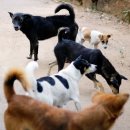 인천농장 이미지