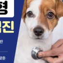 신세계동물병원 이미지