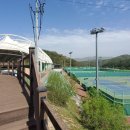 신동테니스장 이미지