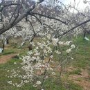 지리산끌림펜션 이미지