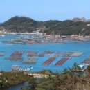 전복총각 이미지