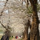 대성국민관광지(안내소) 이미지