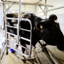 소은목장 이미지