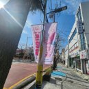 제2교~제3교 | 진해 군항제 가볼만한 벚꽃명소 &#39;여좌천&#39; 방문후기