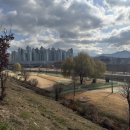 수림지 파크골프장2 이미지