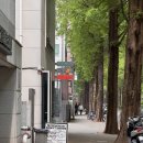 도넛하우스 - 가평군 수목원로 365 | [양재천 카페] 요즘 핫한 퀸즈베리도넛하우스 양재점 방문 솔직후기(Queensberry Donut House)