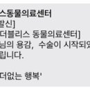 더블리스동물의료센터 이미지