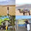 역마슈퍼 | 일본 요나고 여행 코스 돗토리 사구 마쓰에 JR패스 교통 경비