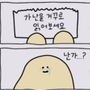댕기머리서린샴푸 내돈내산 돌아버림ㅠ