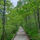 보현산칼국수 이미지