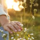 별 이비인후과의원 이미지