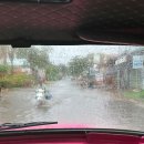 샘물세탁 이미지