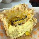 중앙환경노동조합 | 강릉 중앙시장 카페 오버웨잇 초당옥수수 타르트 감자 타르트 단면샷 포장 후기