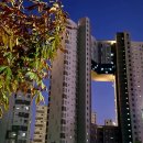 신탁행정사사무소 이미지
