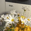니니플레르