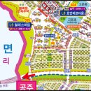 고운동아침