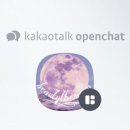 뷰티더문