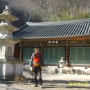 나원초등학교 이미지