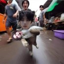 내셔널짐 서초점 | 꽃이 피고 지듯