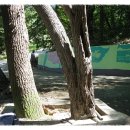 하우약수터 이미지