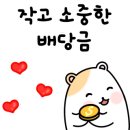 와이홀딩스