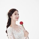 네이쳐빌딩 이미지