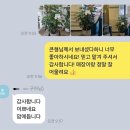 세븐일레븐 부산동래행운점 | 부산 동래구 연제구 당일배송, 사직동 개업화분 승진화분 &#39;내가그린식물가게&#39;후기