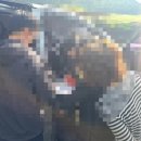 모아관광여행사 서울신문