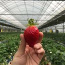 이슬농원 이미지