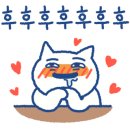 (주)캐처스 네이버블로그