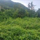 야미리진료소 이미지