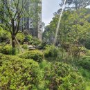 주식회사우성부동산중개법인 이미지