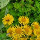 청풍명월무역 이미지