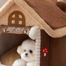 강아지집 이미지