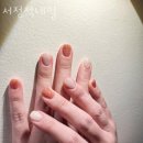 자곡동애견샵 서정적네일 좋은 애견샵 고민 될 땐