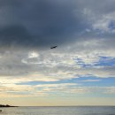 궁한스샤브샤브신제주점 이미지