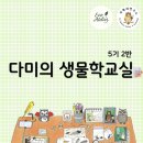 다미연구소