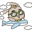 스테이써니 이미지