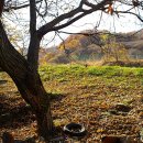 소사목장 이미지