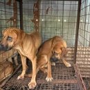 이한농장 이미지