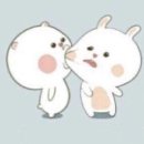 민민 Daum카페