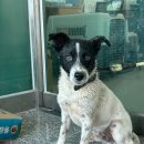 중4리 경로당 이미지